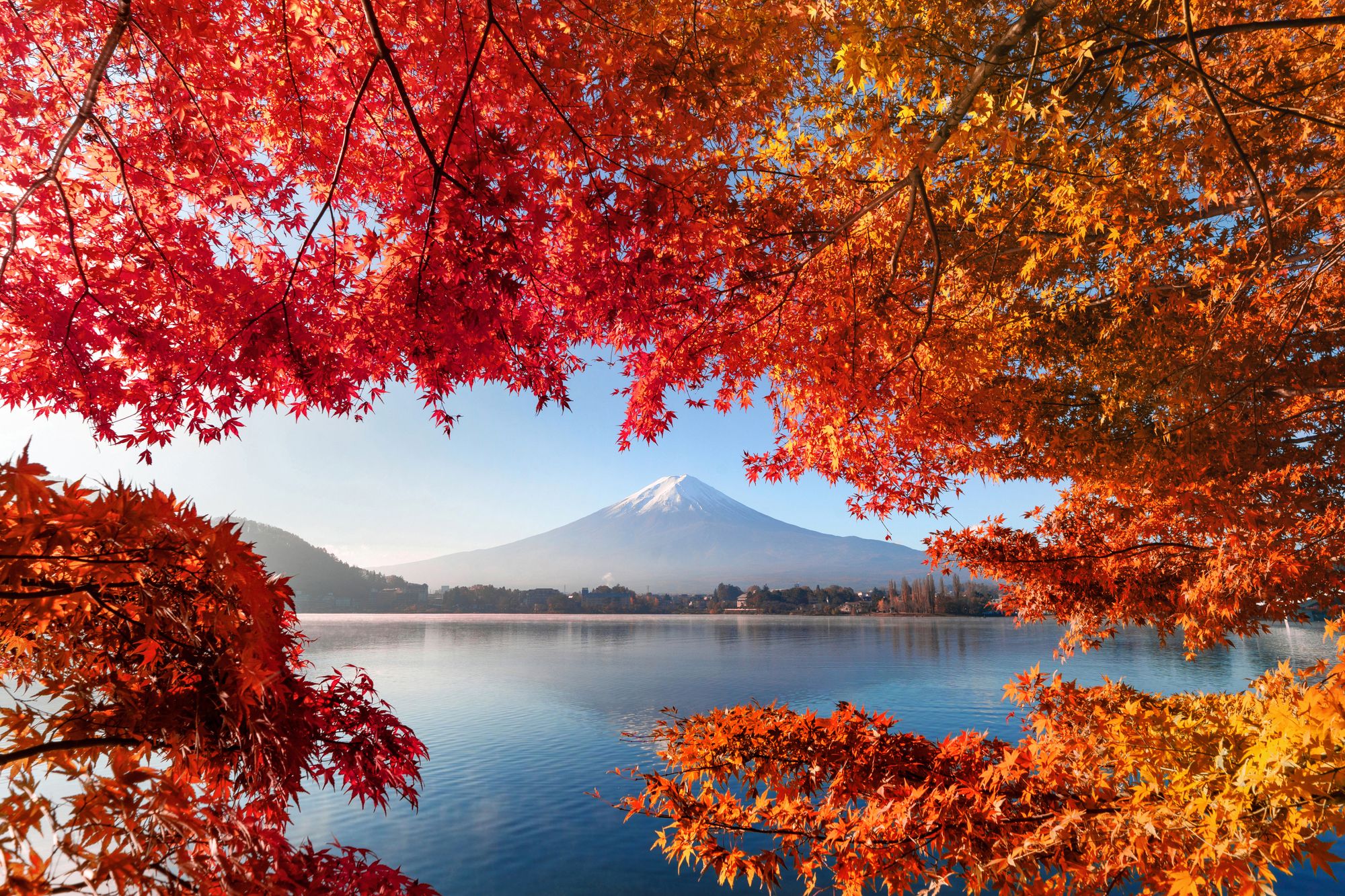 Kawaguchiko Lake and Mount Fuji