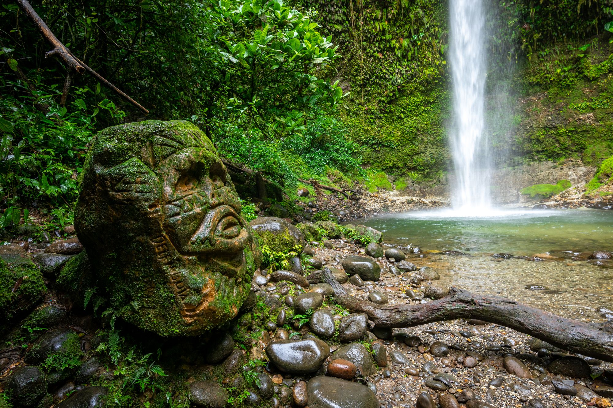 A large archaeological site pops up under the rainforest