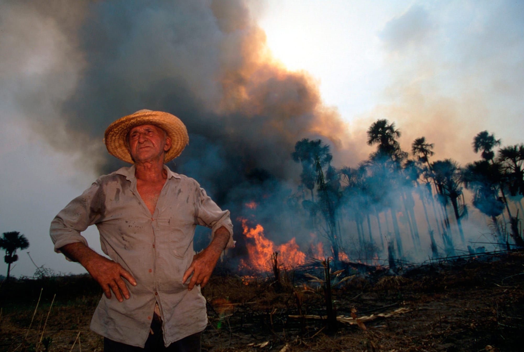 Allarme Amazzonia, così il polmone del pianeta rischia il "collasso"