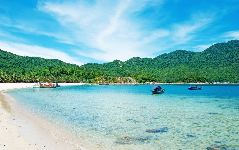 Vietnam, Cham islands toward establishment of post image nature reserve